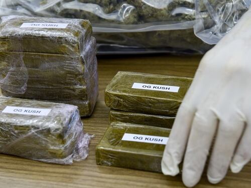 Torino, fermati 3 ragazzi: in casa di uno circa 210mila euro di droga