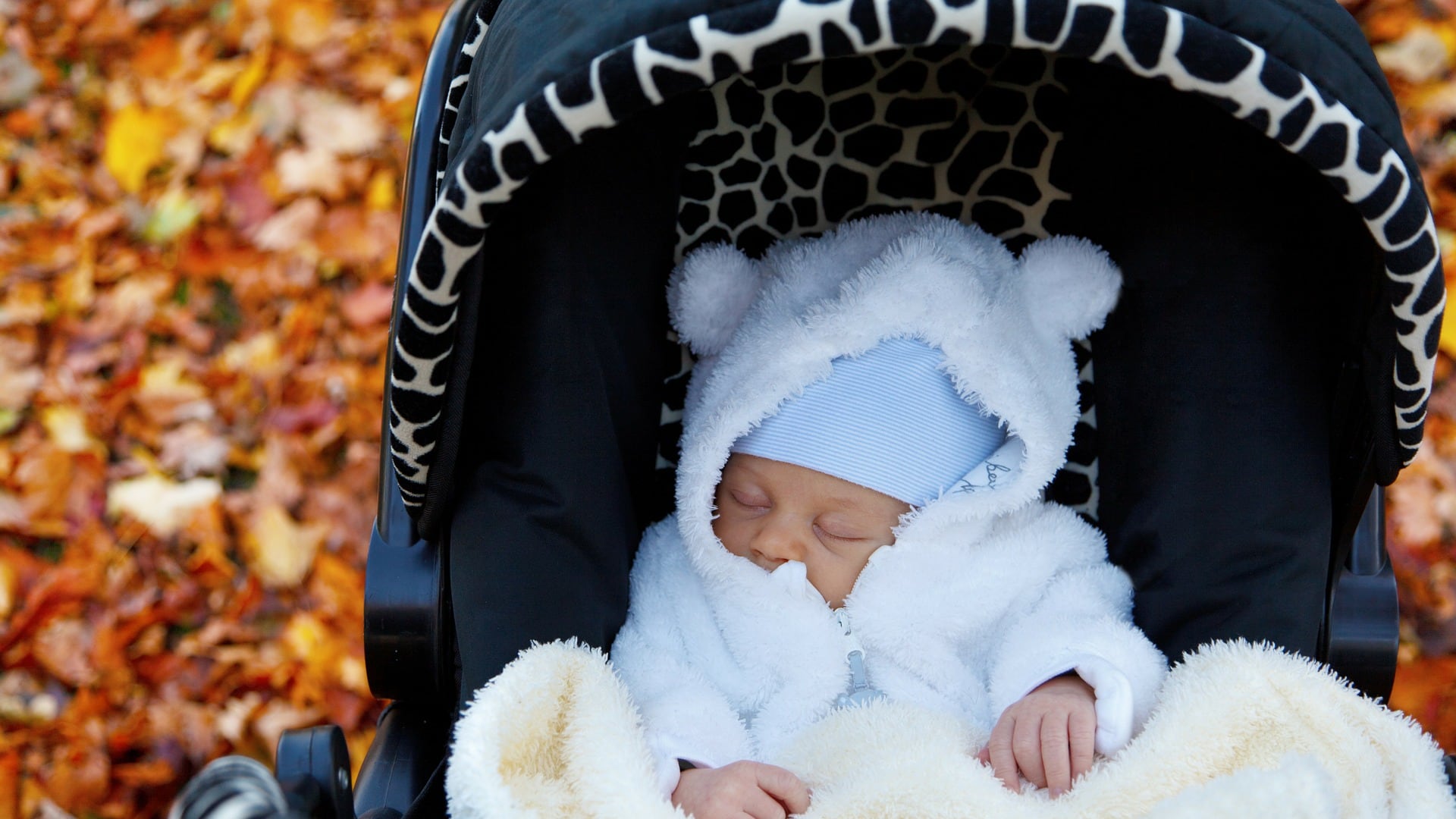 "Se fate figli vi aumento lo stipendio". Imprenditore padovano stanzia fondo maternità