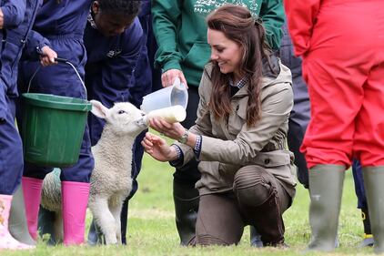 Kate dà il biberon agli agnellini 5