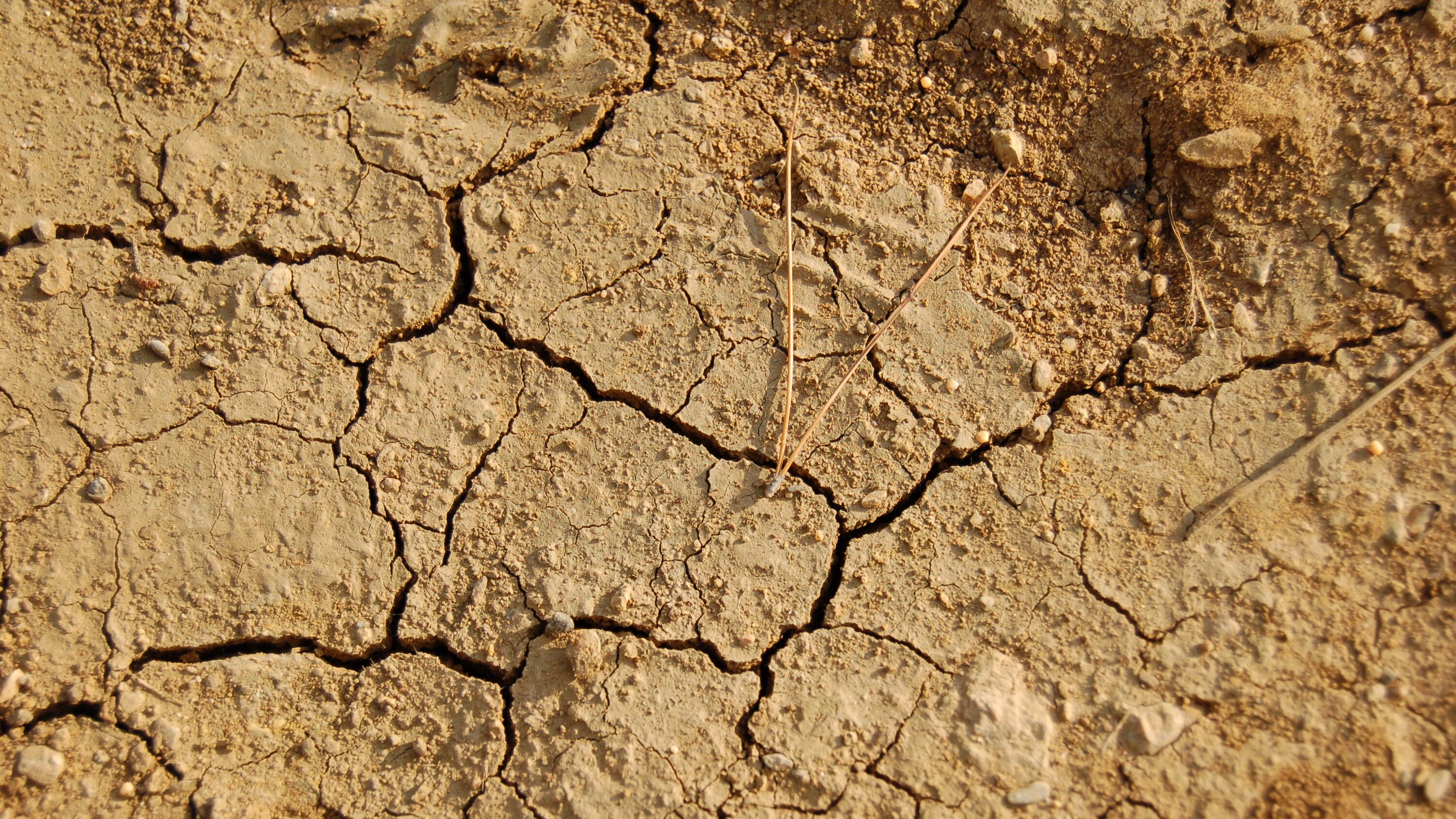 Allarme siccità, ondata di calore in arrivo in tutta Italia