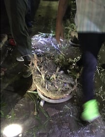 Thailandia, bombe nascoste nei vasi 3