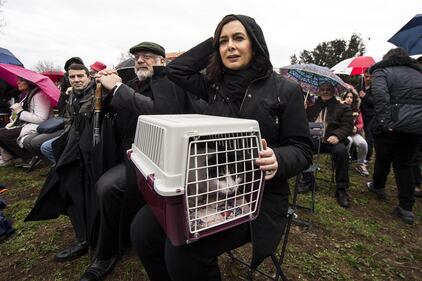 La Boldrini col gatto "Gigibillo" alla Festa degli animali 7