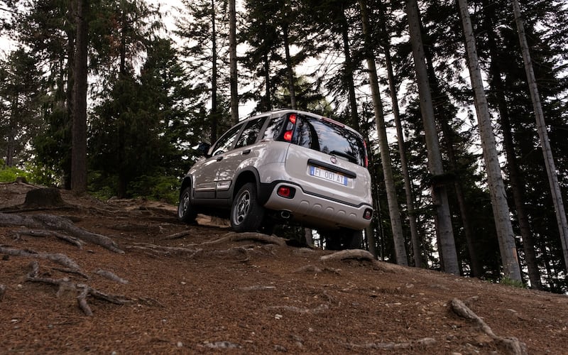 Fiat Panda 4x40° Limited Edition, guarda tutte le immagini 6