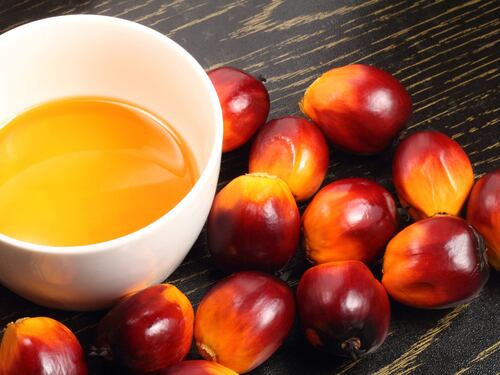 La Russia importa olio di palma per rimpiazzare il latte europeo