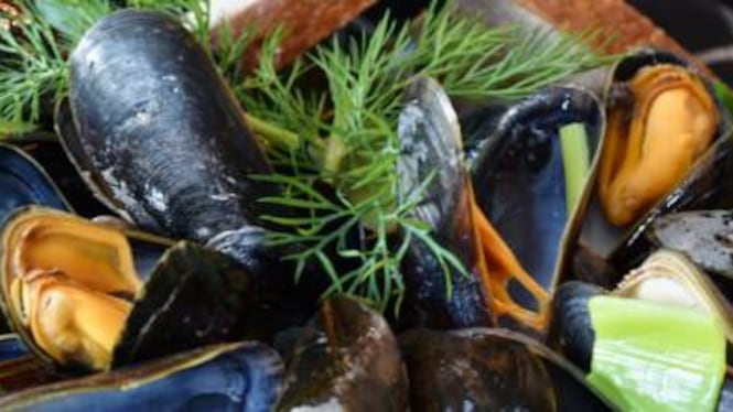 Allerta su cozze contaminate da tossine