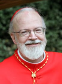 Sean O'Malley, 68 anni, americano 
