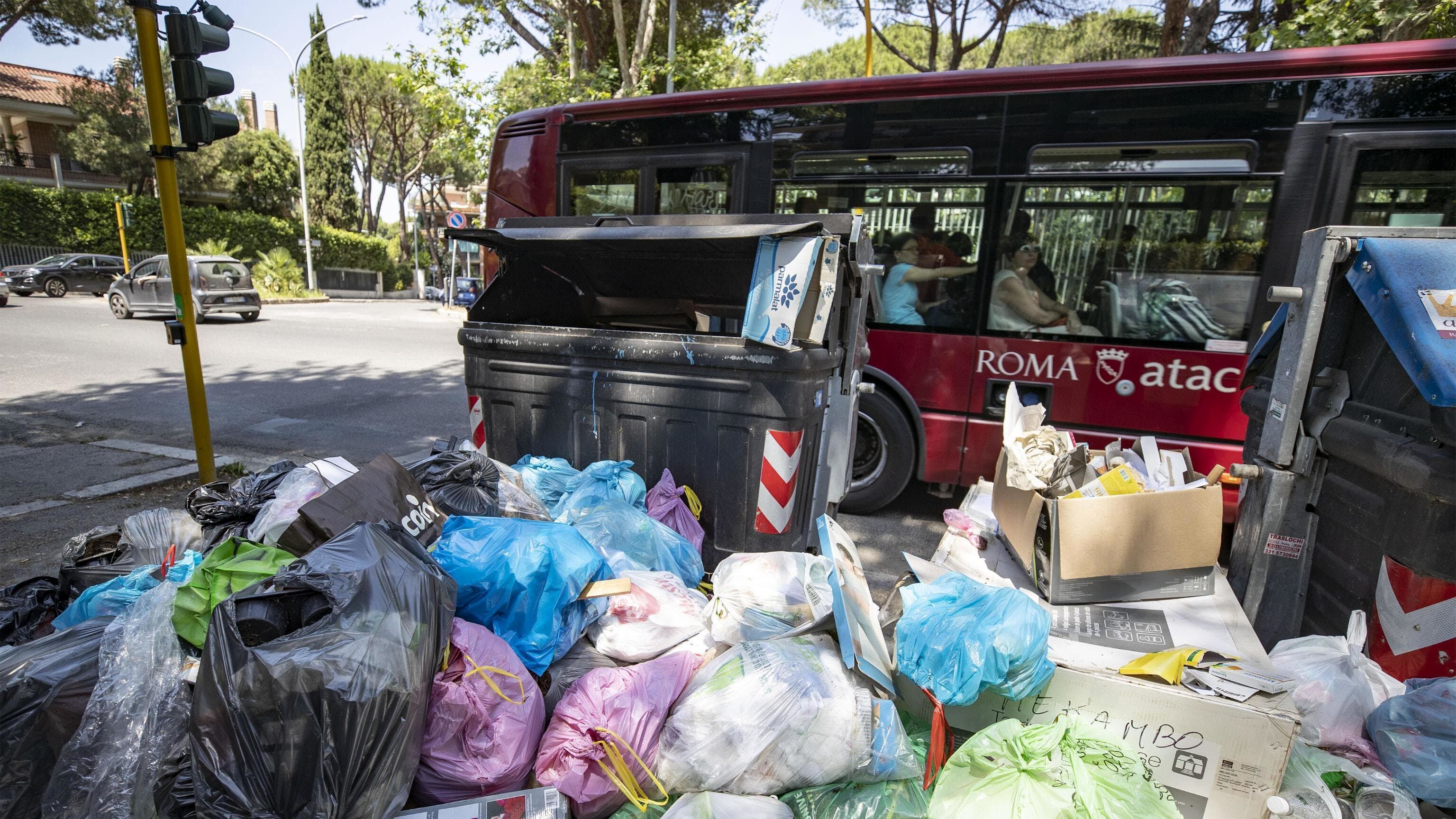 "Topi, gabbiani e miasmi". Scatta l'emergenza igiene a Roma