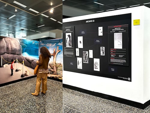 “Habitat” la fotografia contemporanea a Malpensa