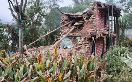 Gli edifici distrutti e le persone ferite dal terremoto in Nepal 5