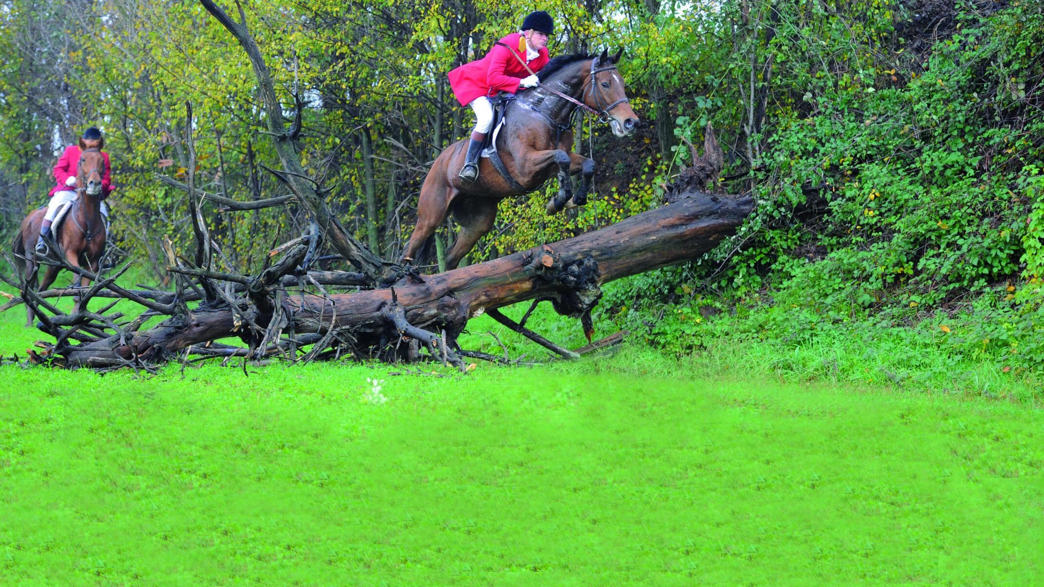 Via alla caccia a cavallo (ma la volpe non c'è più)