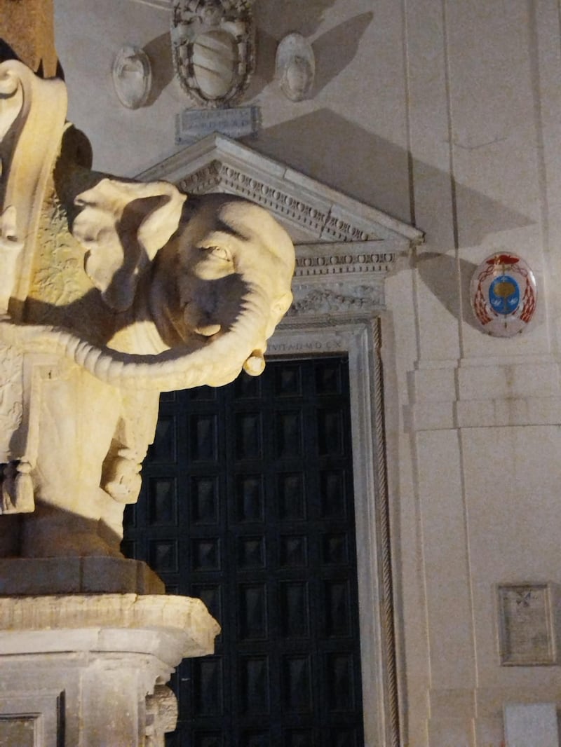 Danneggiato l'elefantino del Bernini a Roma: le foto 4
