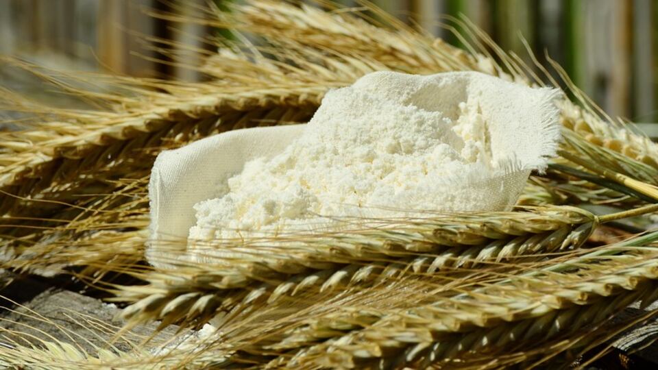 Escrementi e zampe di topo nel pacco di farina: Nas chiudono stabilimento
