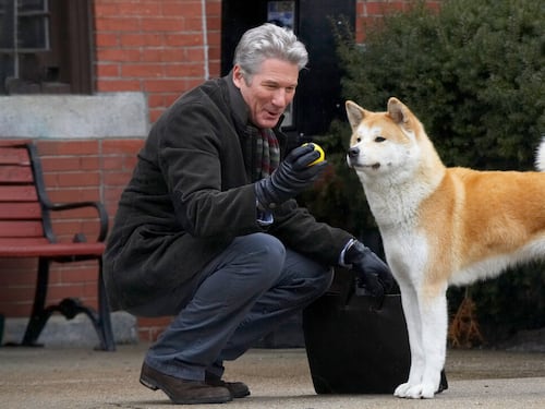 Non solo Hachiko: tutte le storie di cani fedeli che hanno commosso il mondo