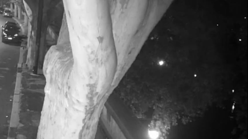 Imen Chatbouri, un video incastrerebbe Catoi come suo assassino