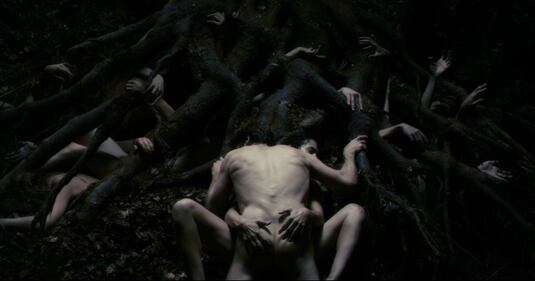 Il cinema di Lars von Trier, foto 14