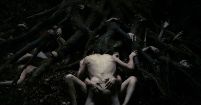 Il cinema di Lars von Trier, foto 14