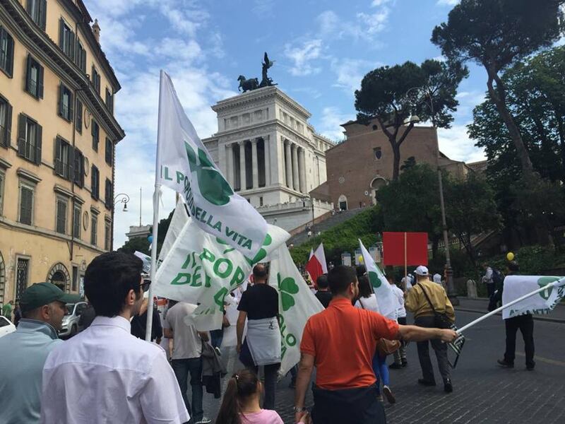 Cattolici in marcia per la vita 4