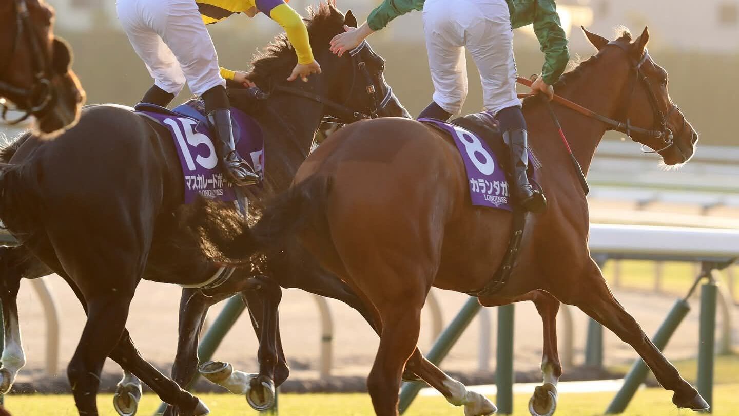 Pisa, Siracusa e Milano: tradizione e novità a cavallo