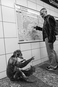 La metrò parigina diventa savana 8