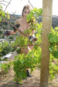 La coniglietta colpisce ancora: il giardinaggio è senza veli 6