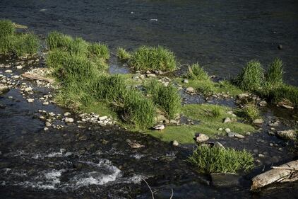 Il coronavirus "ripulisce" le acque del fiume Po 2