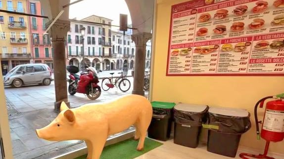 Padova, polemica sul maiale in vetrina: la comunità islamica chiede la rimozione
