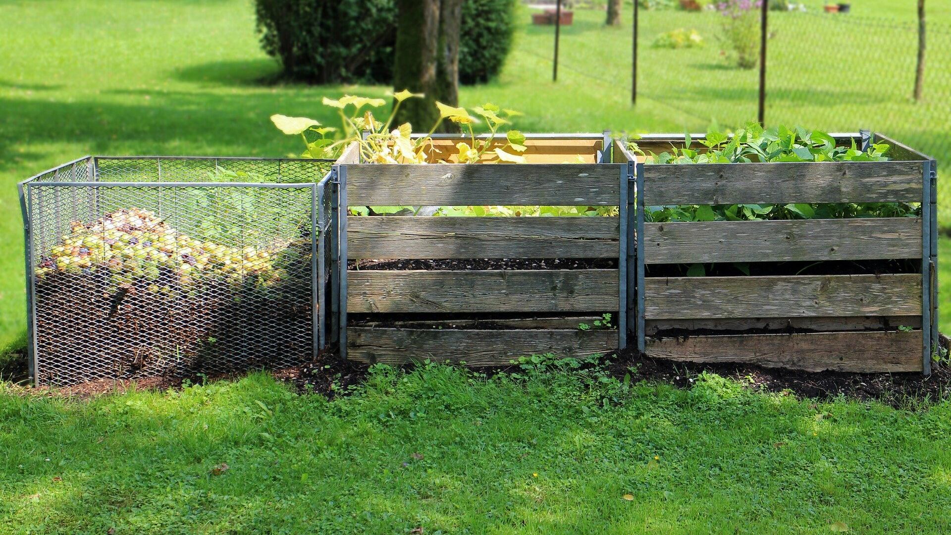 Compostaggio umano, a Washington e in California sarà possibile