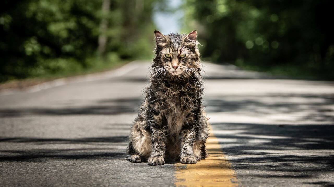 Un nuovo "Pet Sematary" al cinema, sempre dal libro di King