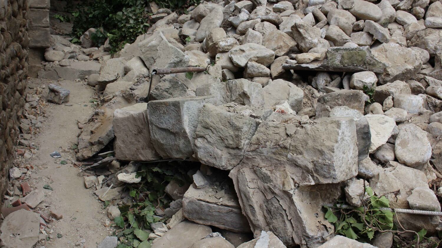 "Senza case in legno impossibile salvarsi"