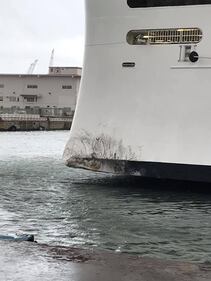 La Msc Grandiosa contro le barriere del porto 5
