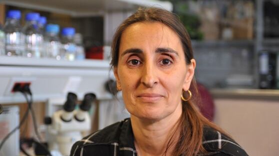 Scopre bruco mangia-plastica: ora la biologa italiana è disoccupata