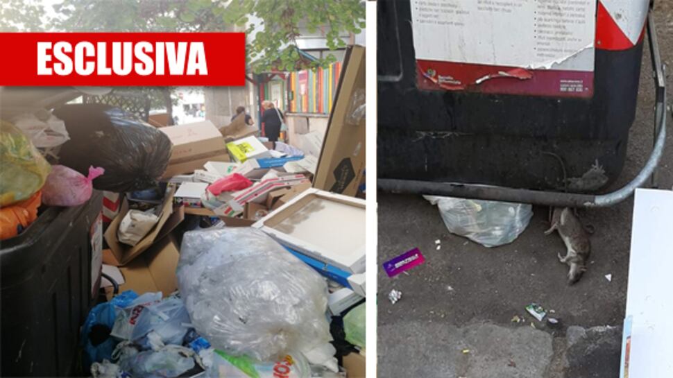 Bimbi a scuola tra l'immondizia, l'allarme del garante per l'Infanzia: "Situazione intollerabile"