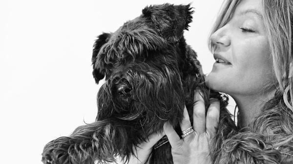Una merenda con i cani maltrattati