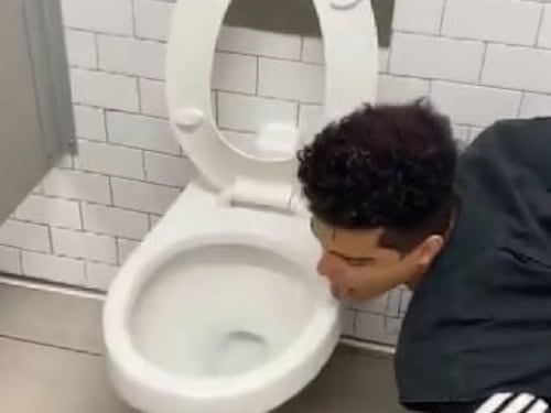 Gran Bretagna, lecca un bagno pubblico per una sfida su Tik Tok e finisce in ospedale: positivo al virus