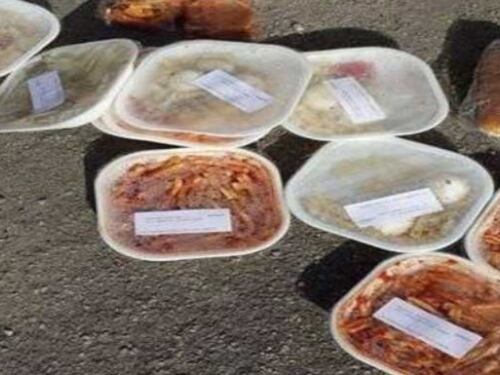 "La pasta non è al dente": profughi in ribellione