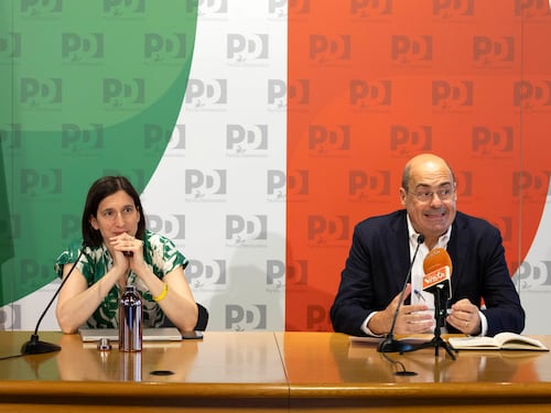 Il Pd ora combatte la battaglia dei violini e delle viole: potranno volare come bagaglio a mano