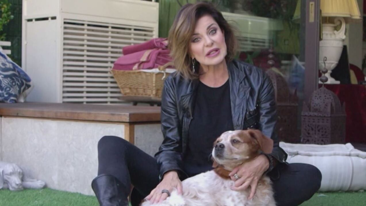 "Abbiamo avuto un incidente". Cosa è successo ad Alba Parietti e al suo cane