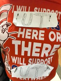Usa, il disegno fatto a mano del piccolo fan è il logo ufficiale dell'Università del Tennessee 6