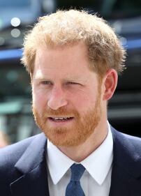 Il Principe Harry e il discorso al Chatham House Africa Programme Event 5