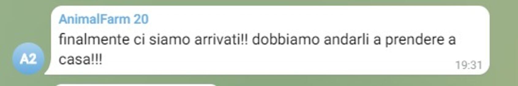 Le chat dei no vax, tra  6