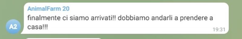 Le chat dei no vax, tra 6