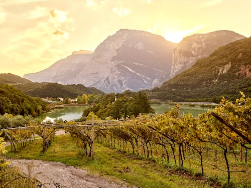 Dormire tra i vigneti: l’ospitalità in cantina in Trentino