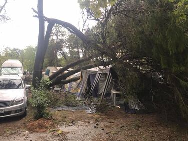 Veneto colpito dal maltempo: alberi sradicati in un campeggio 4