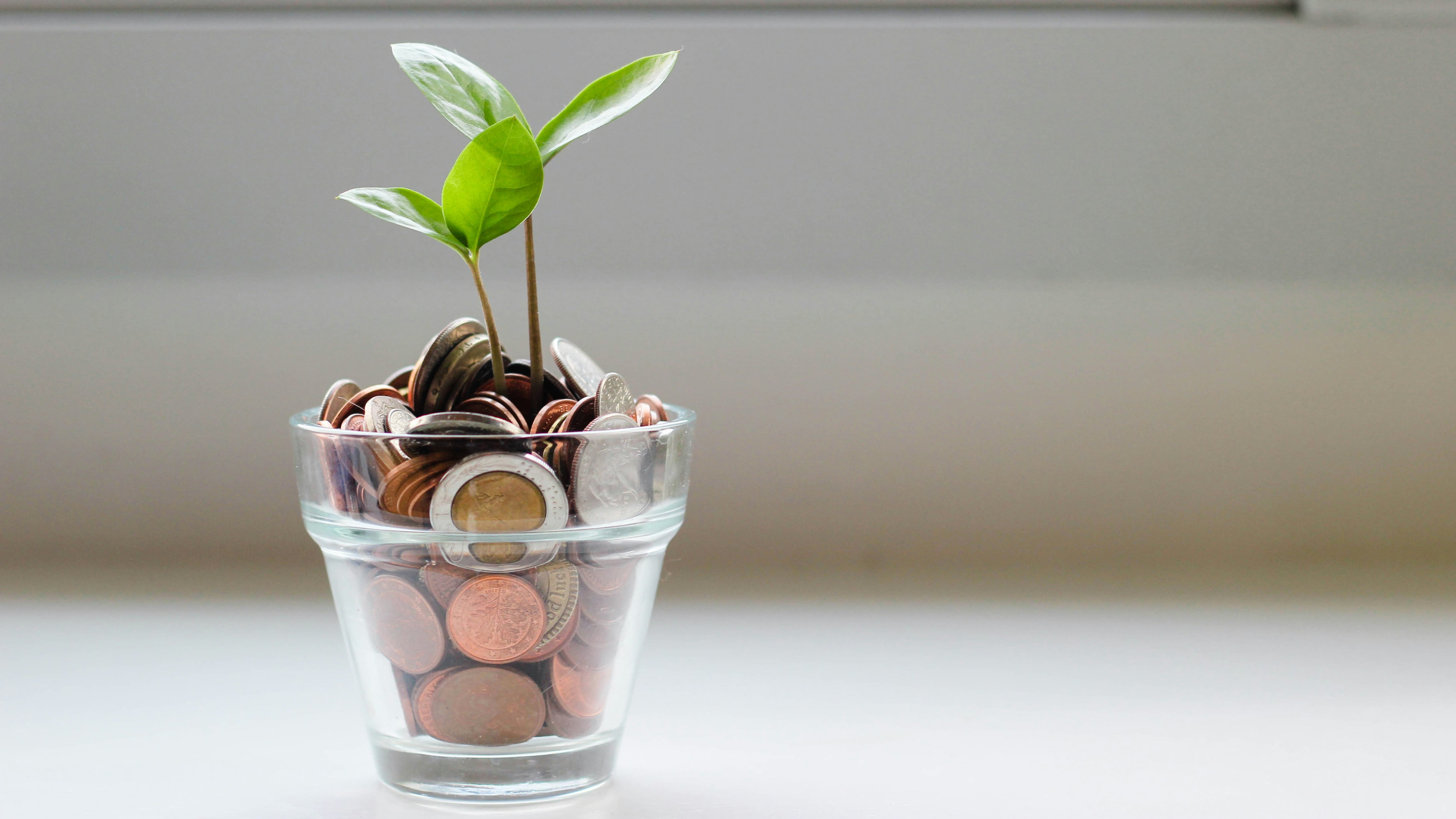 Italiani sempre più "formichine". Risparmio gestito mai così in alto