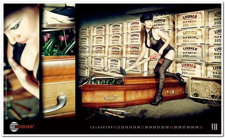 Belle da morire: modelle sexy per vendere bare 14