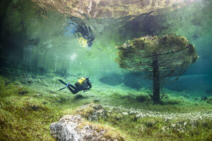 Dall'Austria arriva il mondo subacquo 1
