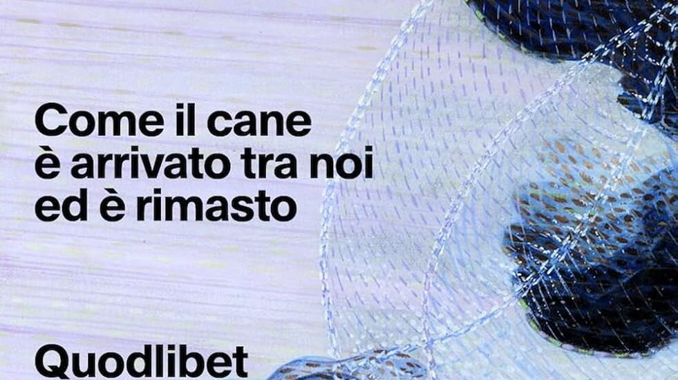 Silvia Bortoli, un piccolo cane e un grande dramma