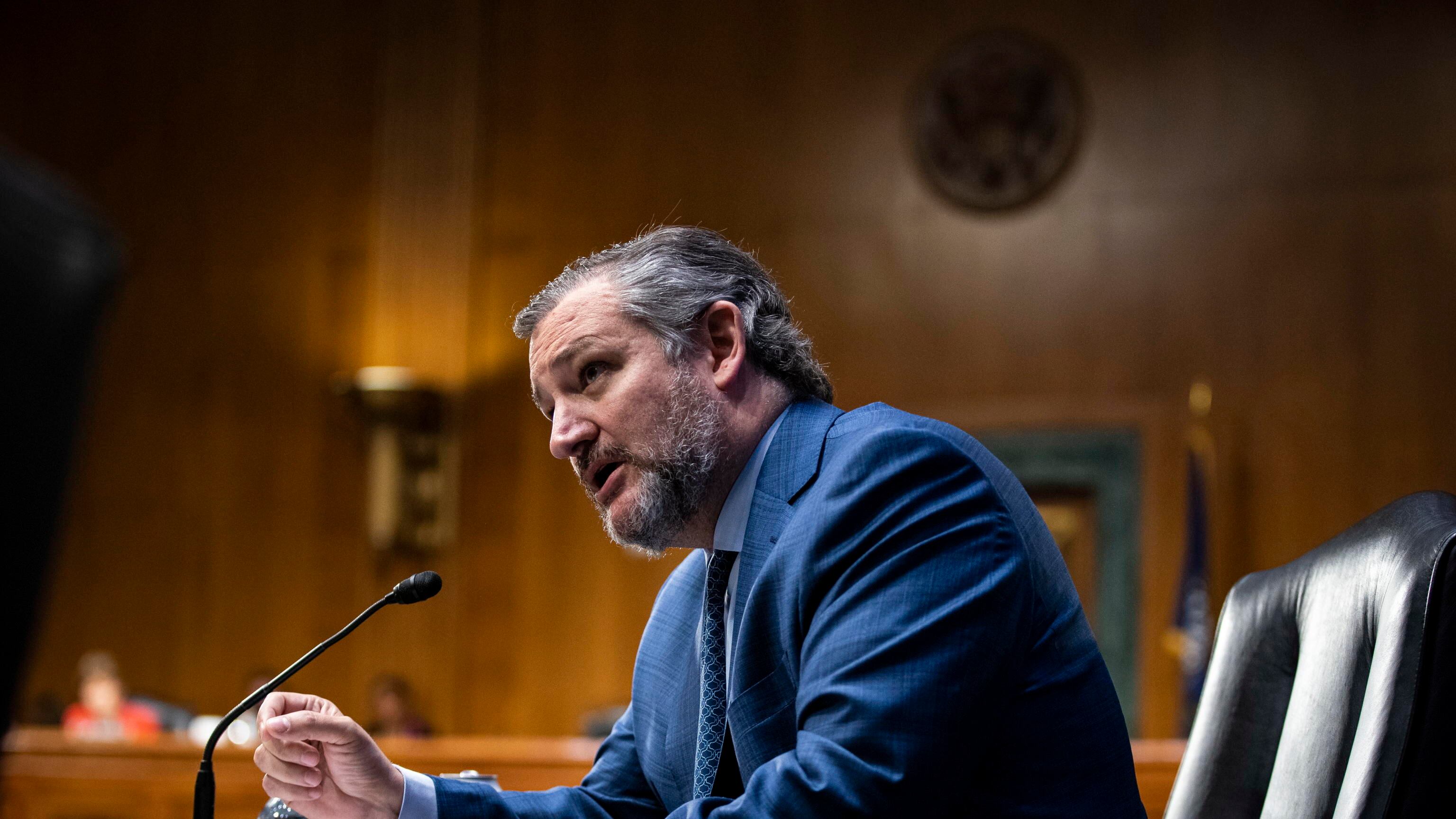 "Fai politica". E Ted Cruz abbandona l'intervista