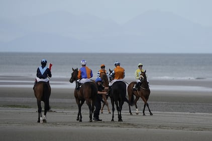 La corsa dei cavalli sulla spiaggia di Laytown 10
