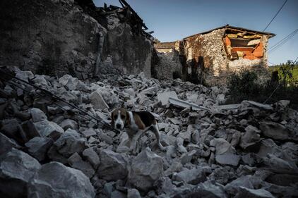 La terra trema in Francia: le macerie dopo il terremoto 1